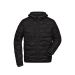 DAIBER Jacken Gesteppte Jacke mit sorona®AURA Wattierung (nachwachsender, pflanzlicher Rohstoff)