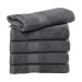 SG Accessories - TOWELS Tiber Hand Towel 50x100cm