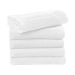 SG Accessories - TOWELS Ebro Beach Towel 100x180cm
