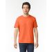 Gildan Softstyle Adult T-Shirt